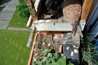 /album/a13-6-2013/barvy-pera-jpg/